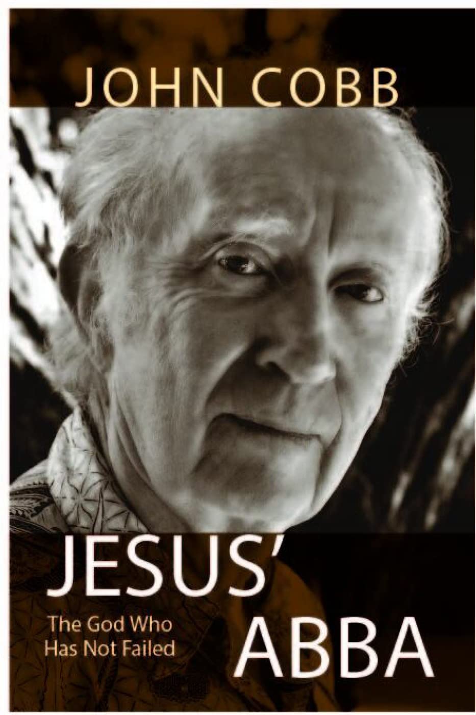 Jesus Abba: The God Who Has Not Failed used book depot