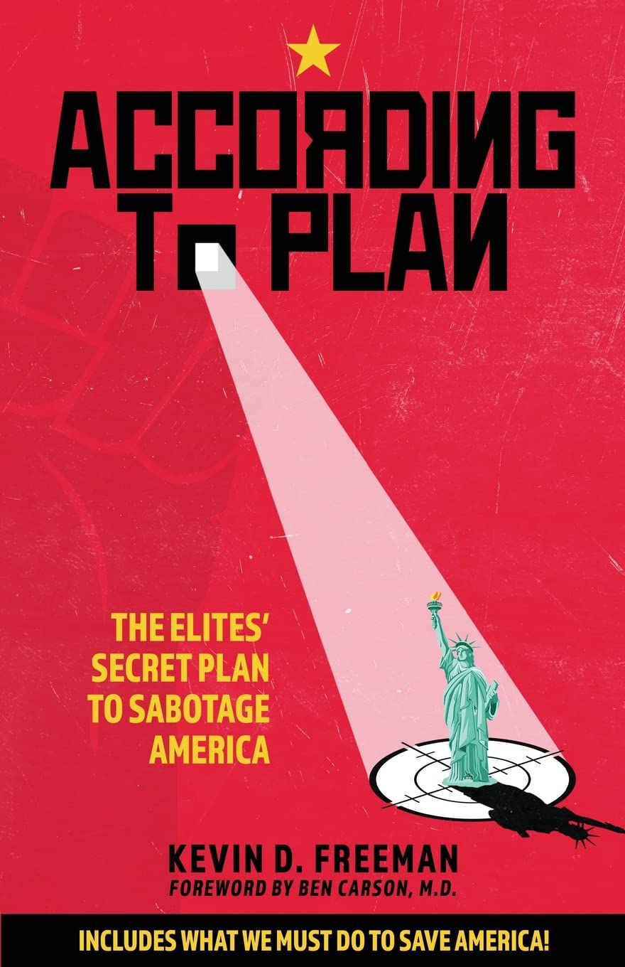 According to Plan: The Elites' Secret Plan to Sabotage America used book depot