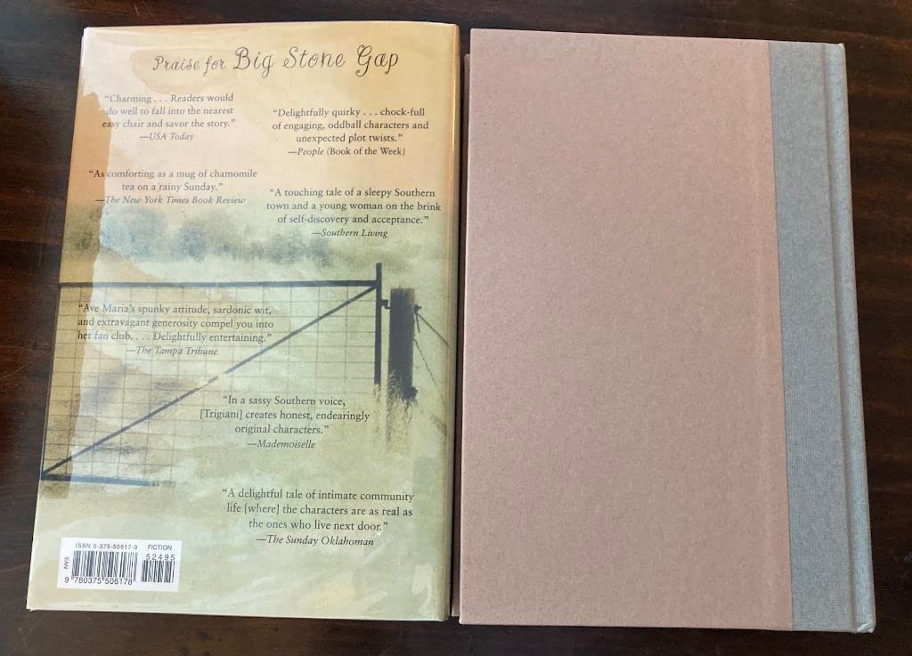 Big Cherry Holler used book depot