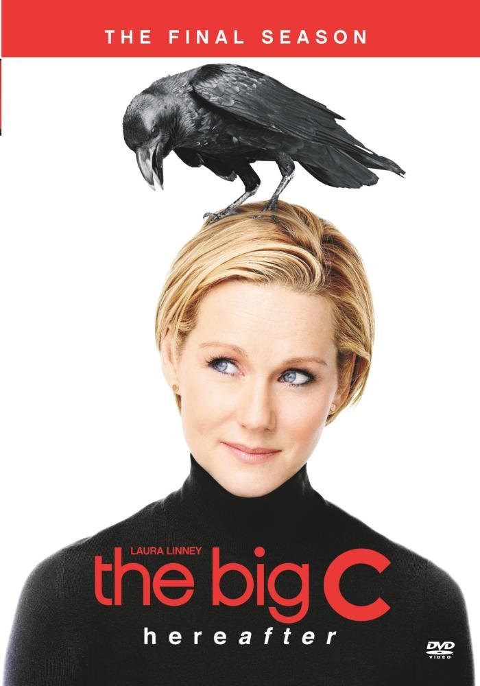 The BIG C - SEASON 04 used book depot