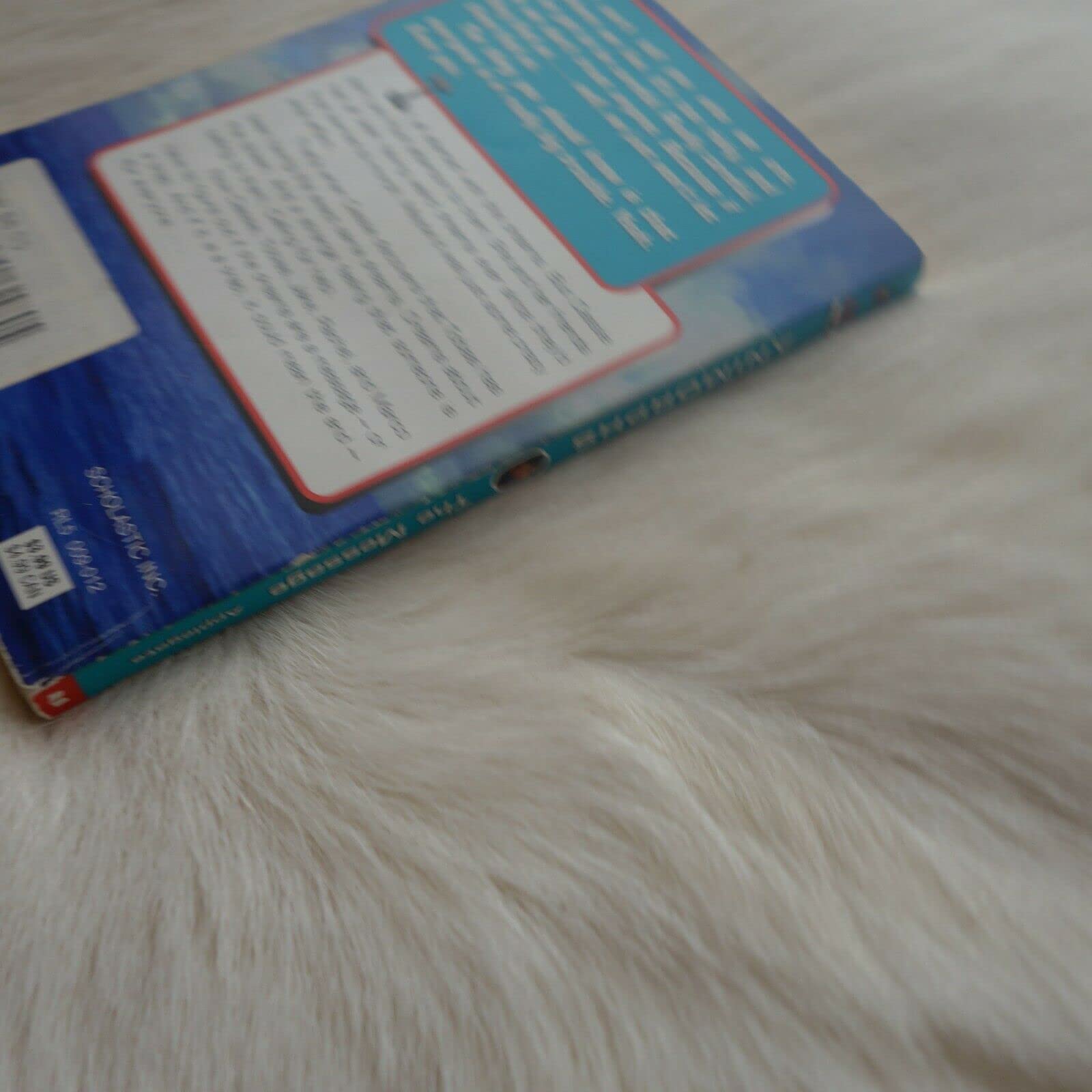 The Message (Animorphs #4) used book depot