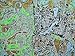 From Here to There: A Curious Collection from the Hand Drawn Map Association