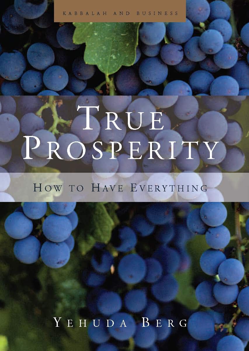 True Prosperity: How to Have Everything used book depot