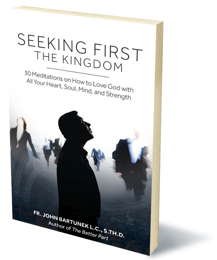Seeking First the Kingdom: 30 Meditations on How to Love God with All Your Heart, Soul, Mind, and Strength used book depot