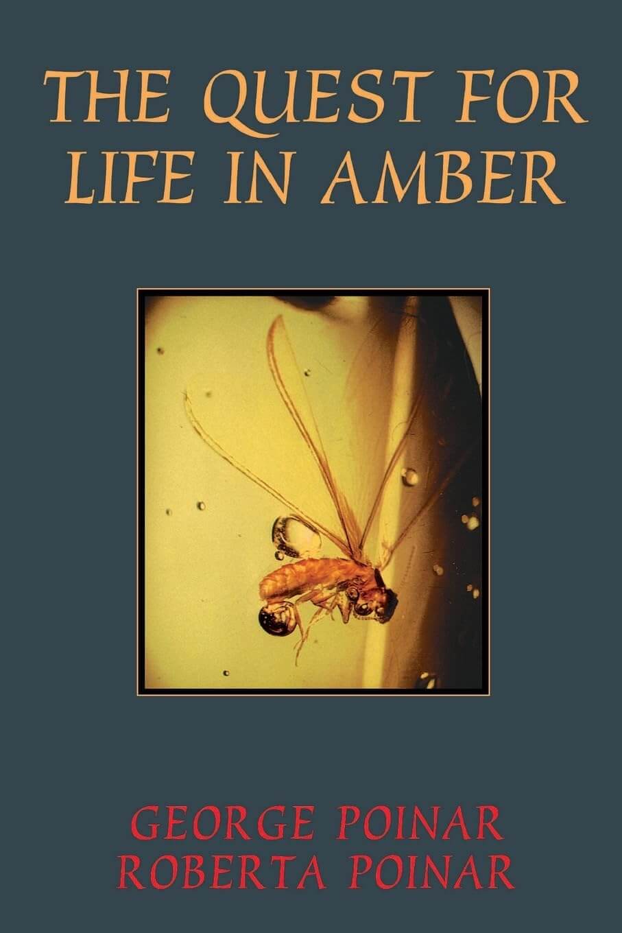 The Quest For Life In Amber (Helix Book) used book depot