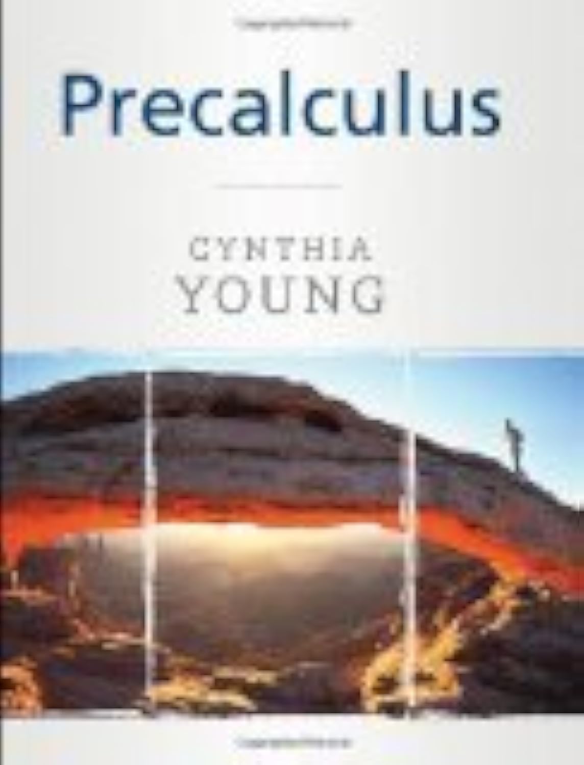 Precalculus used book depot