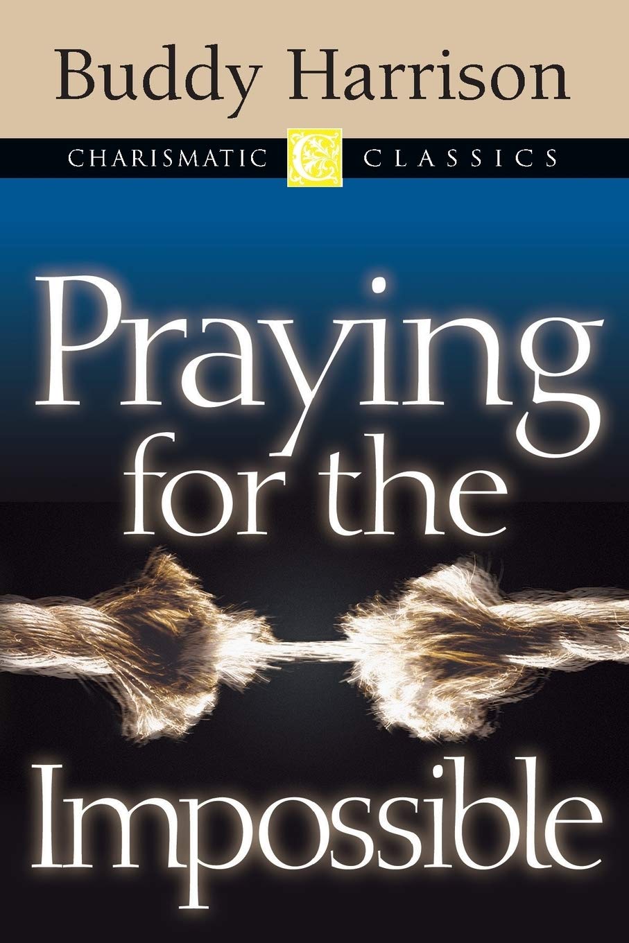 Praying for the Impossible used book depot