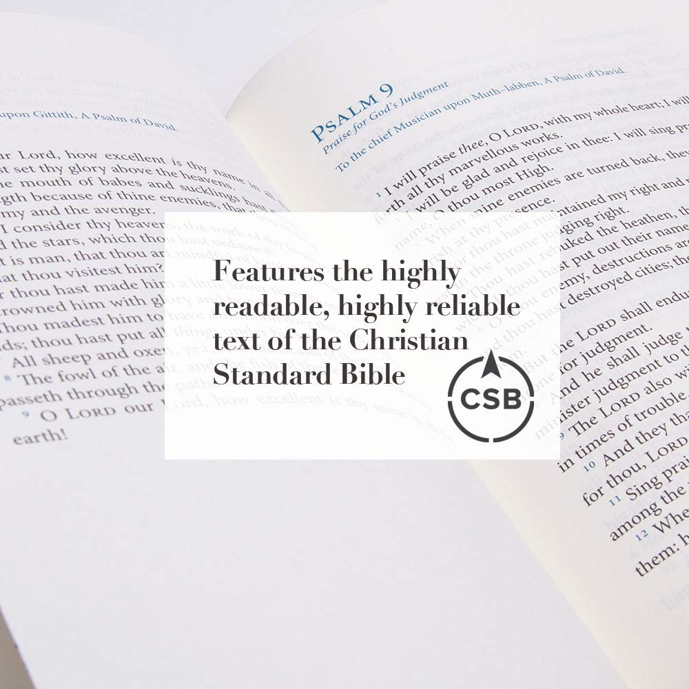 Psalms of the Bible: The Songs of Scripture in Both Contemporary and Classic Form used book depot