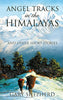 Angel Tracks in the Himalayas [Paperback] Shepherd, Gary