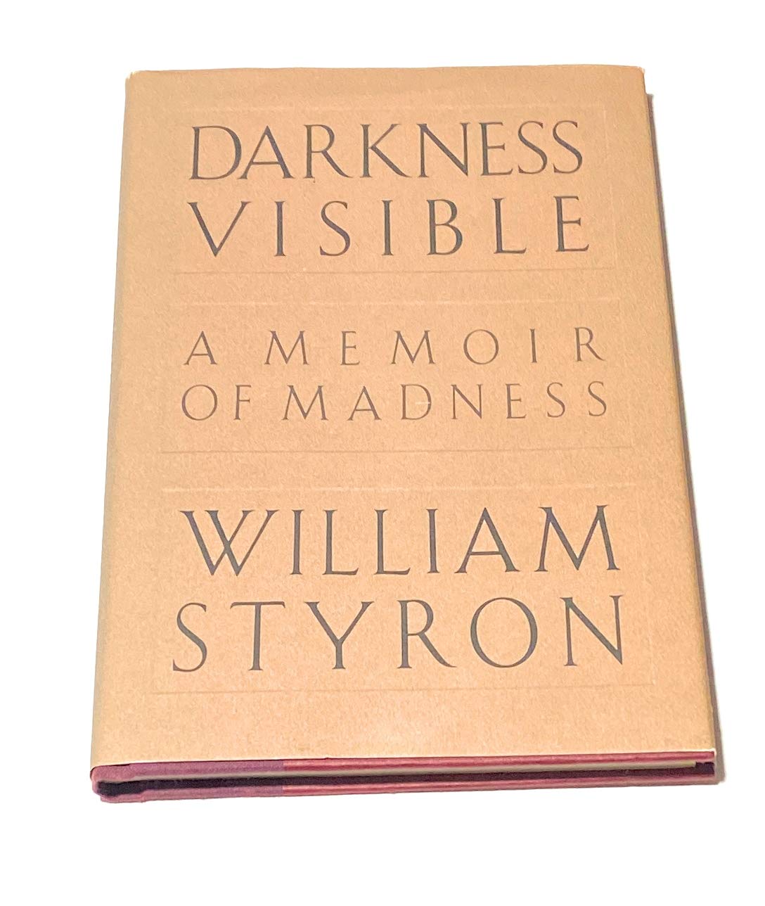 Darkness Visible: A Memoir of Madness used book depot