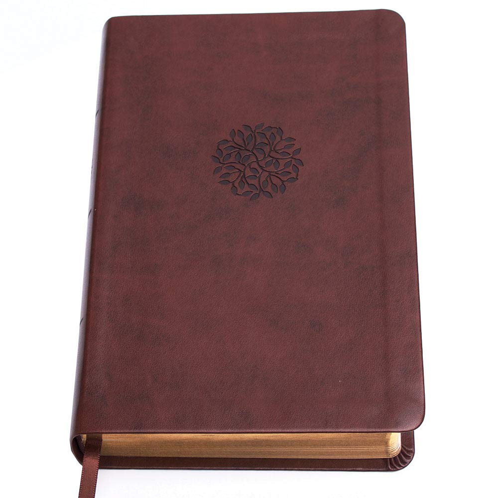 Psalms of the Bible: The Songs of Scripture in Both Contemporary and Classic Form used book depot