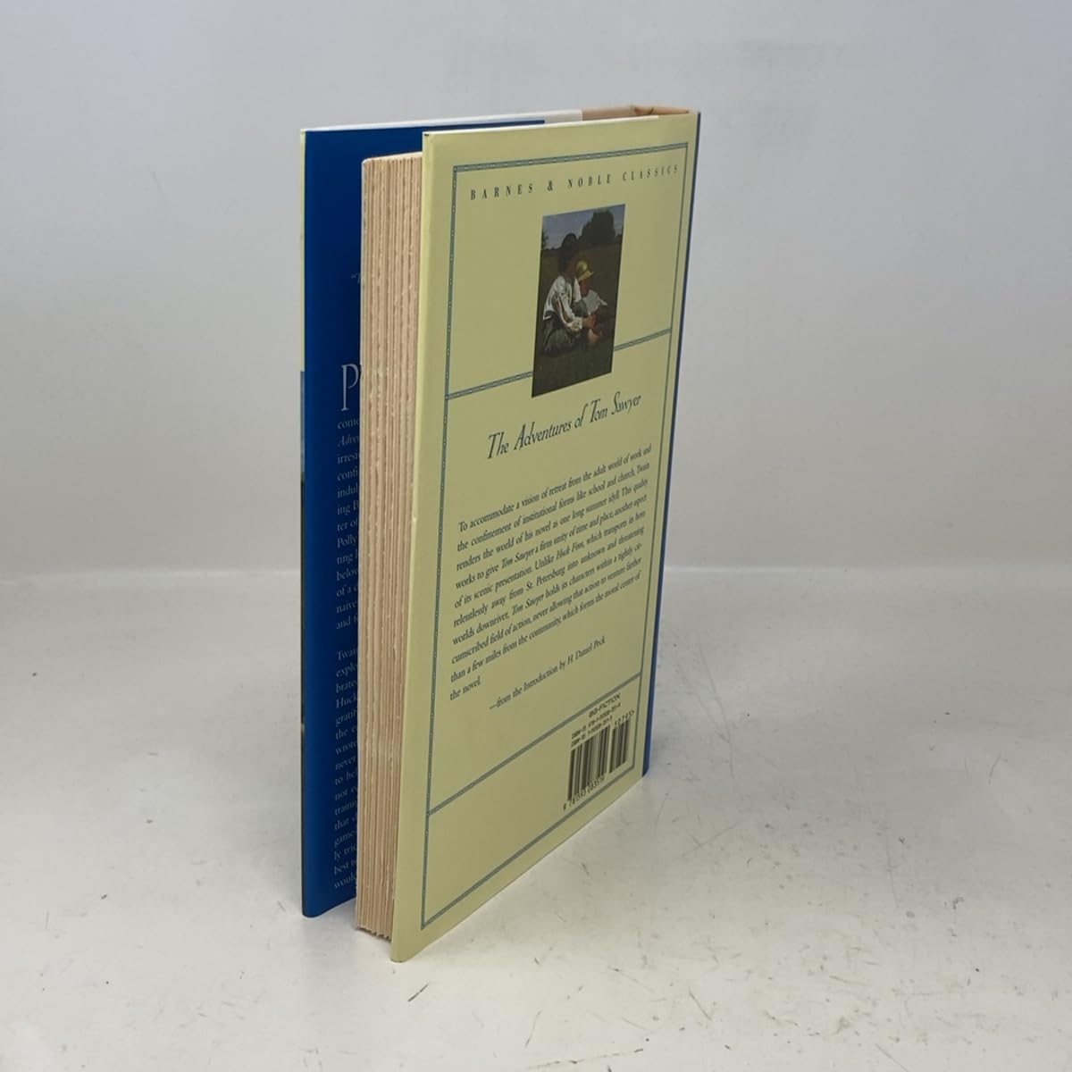 The Adventures of Tom Sawyer (Barnes & Noble Classics)