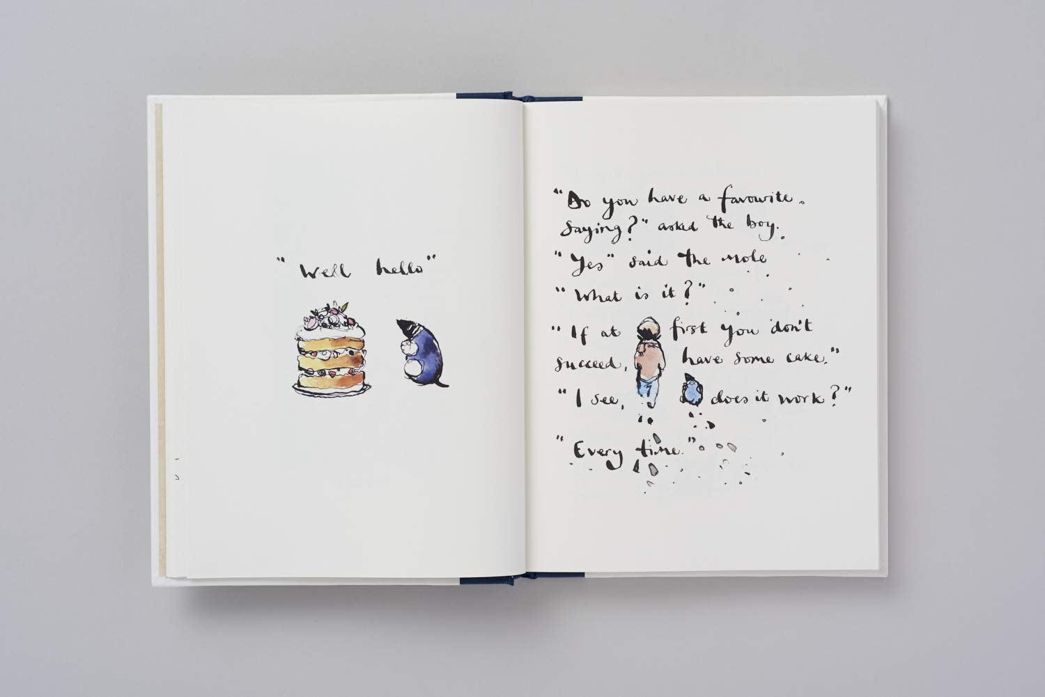 The Boy, The Mole, The Fox and The Horse /anglais used book depot