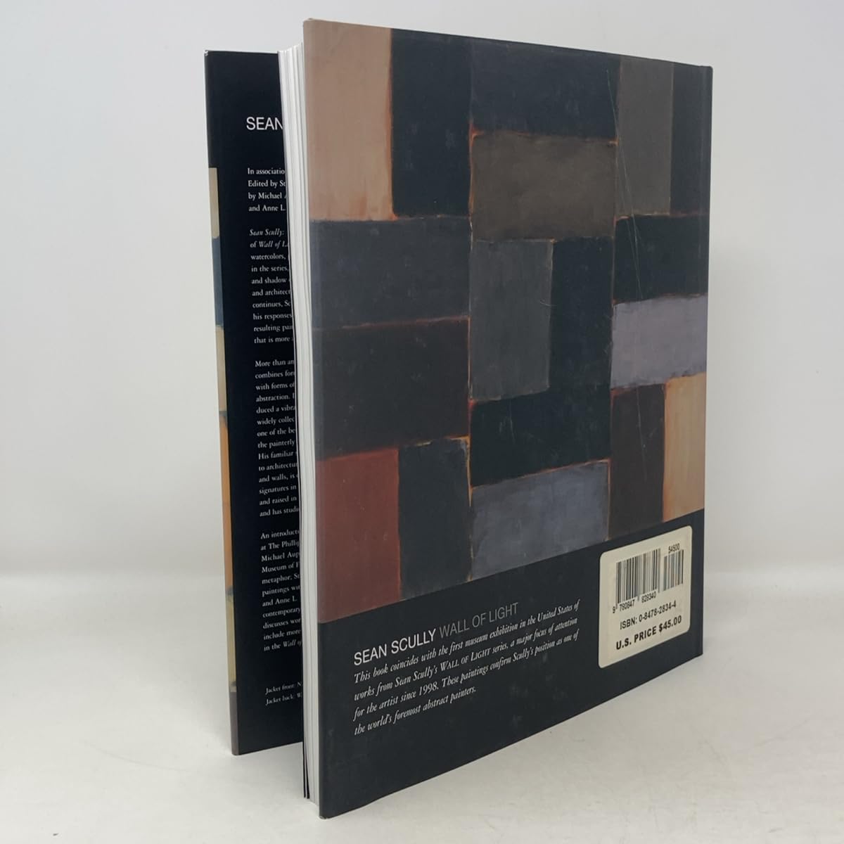 Sean Scully: Wall of Light used book depot