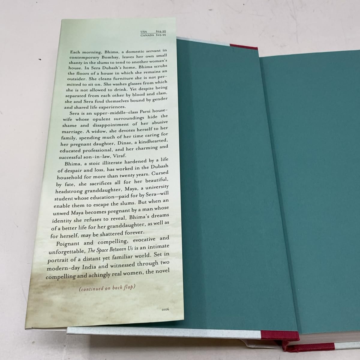 The Space Between Us: A Multilayered Novel of Honor, Tradition, and Gender Struggles in Modern India