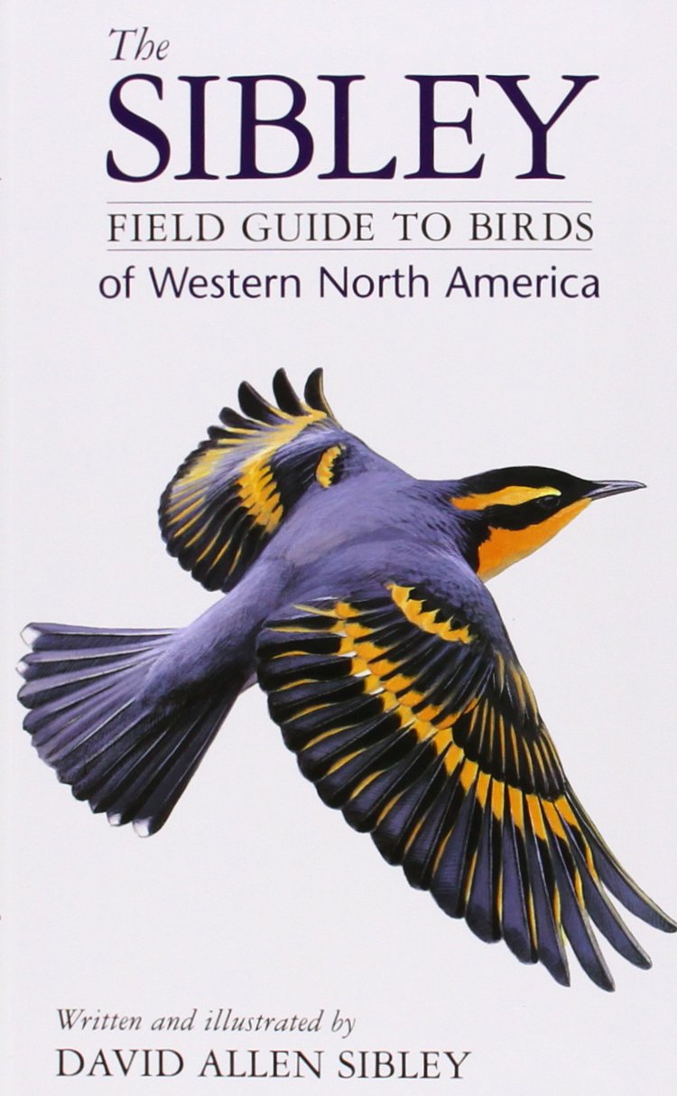 The Sibley Field Guide to Birds of Western North America used book depot
