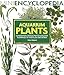 Aquarium Plants: Comprehensive coverage, from growing them to perfection to choosing the best varieties.
