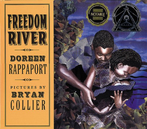 Freedom River (Coretta Scott King Illustrator Honor Books) used book depot