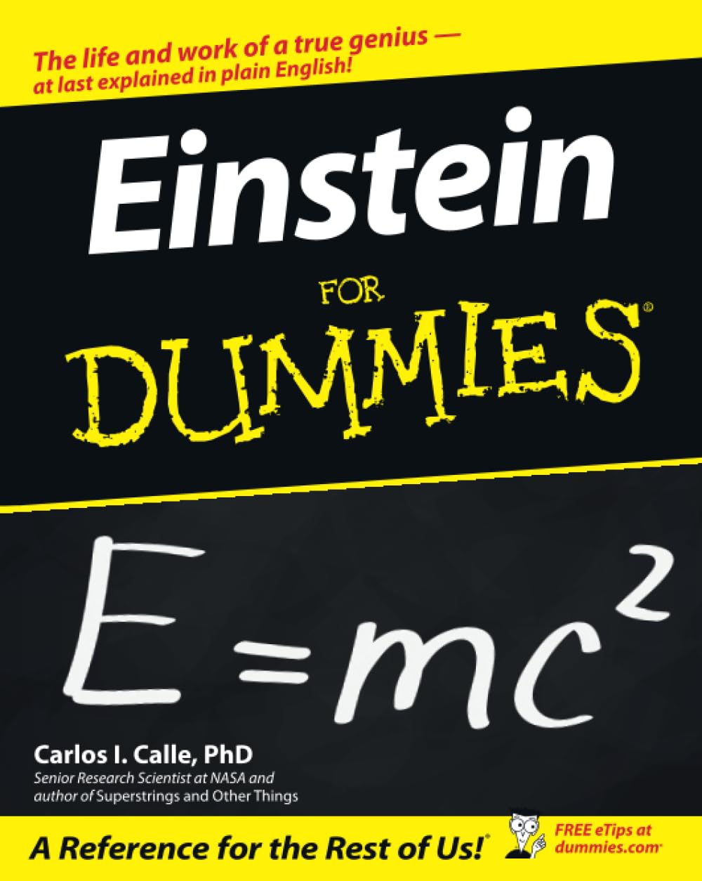 Einstein For Dummies used book depot