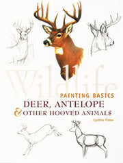 Wildlife Painting Basics: Deer, Antelope & Other Hooved Animals used book depot
