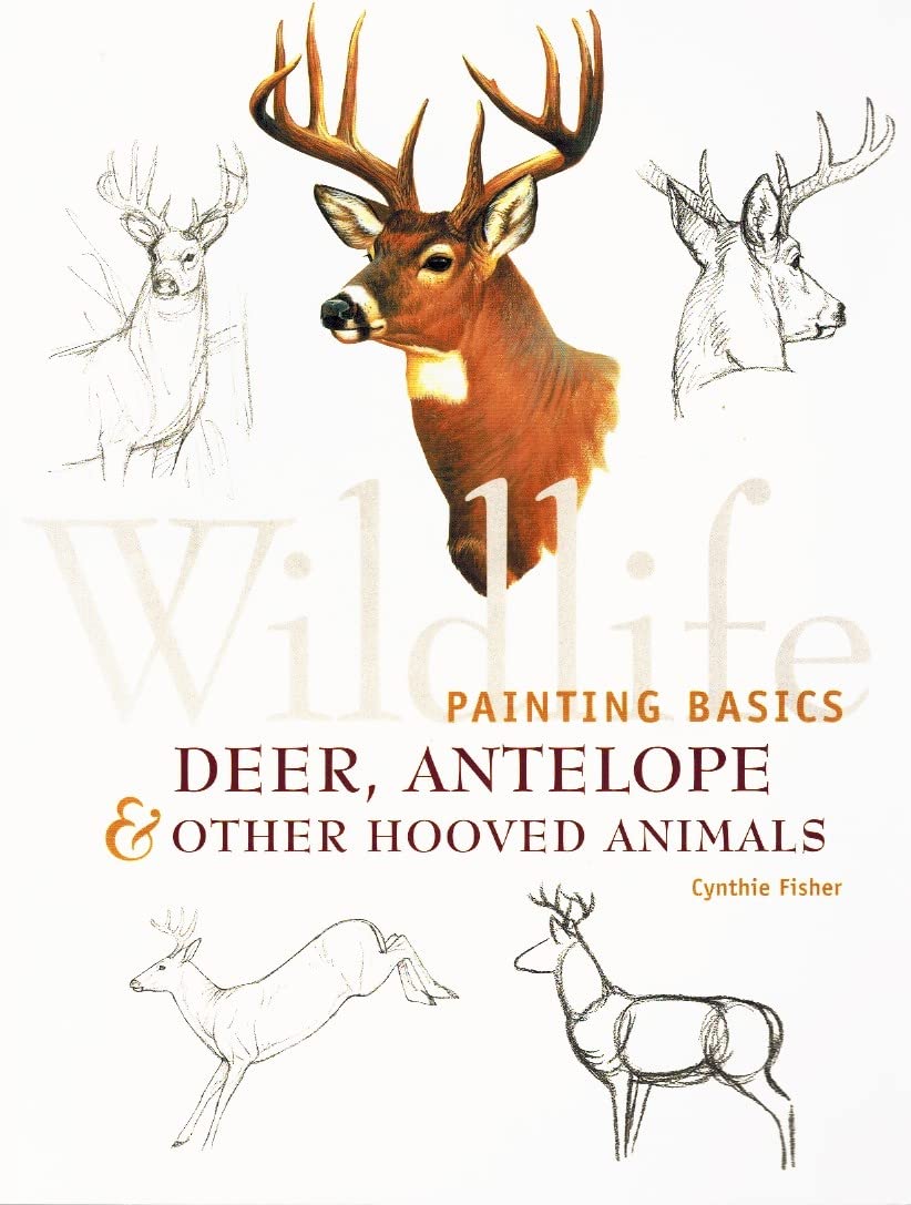 Wildlife Painting Basics: Deer, Antelope & Other Hooved Animals used book depot