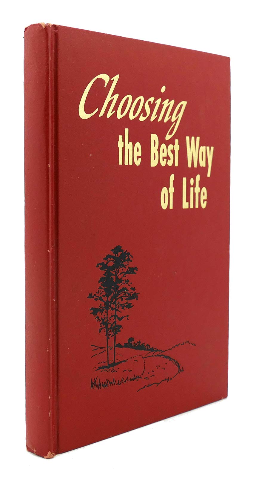 Choosing the Best Way of Life