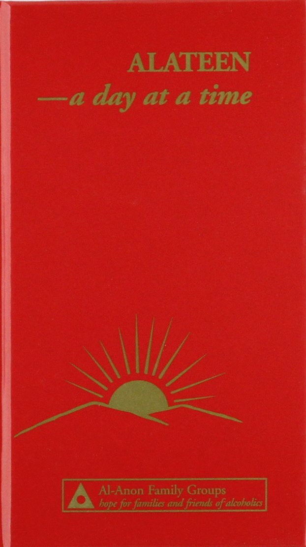 Alateen: A Day at a Time used book depot