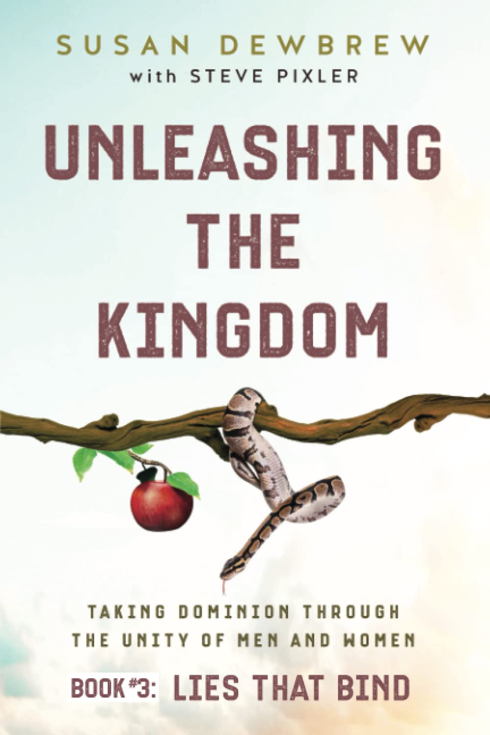 Unleashing the Kingdom, Lies That Bind used book depot