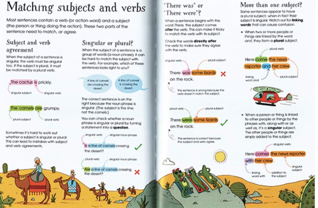 Illustrated Grammar and Punctuation used book depot
