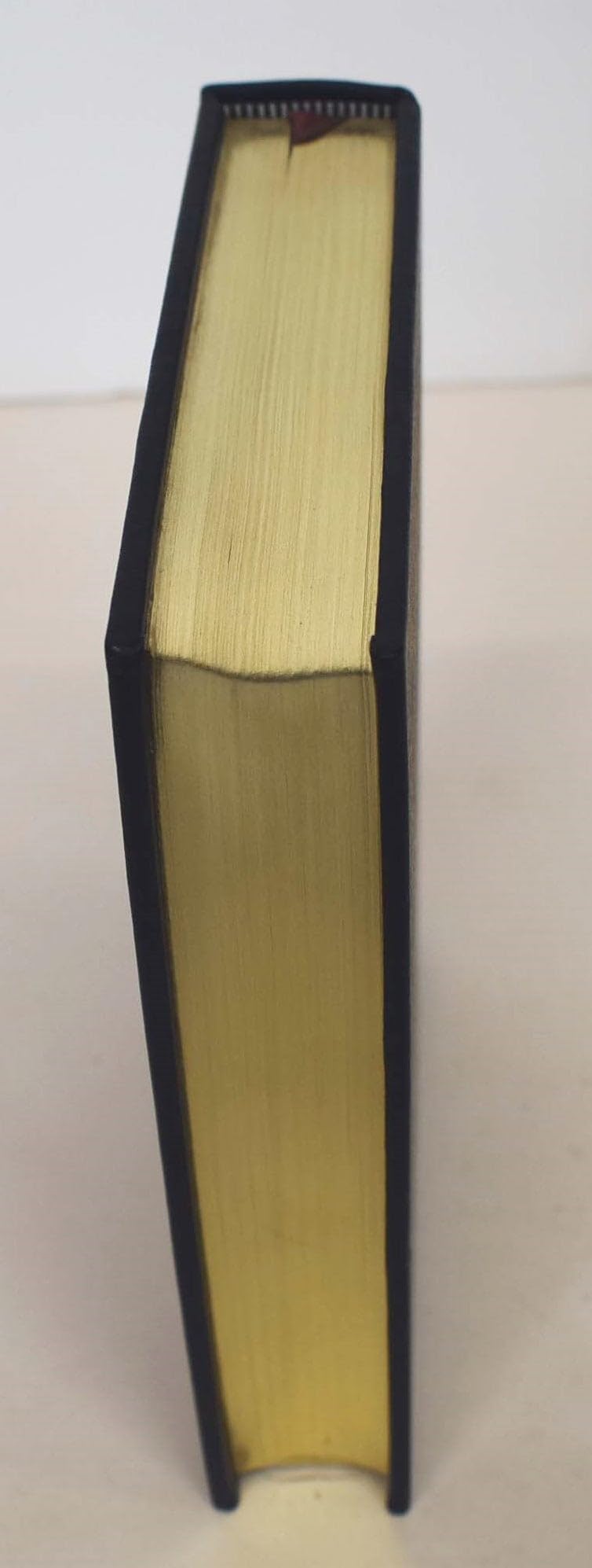 Lincoln: A Novel used book depot