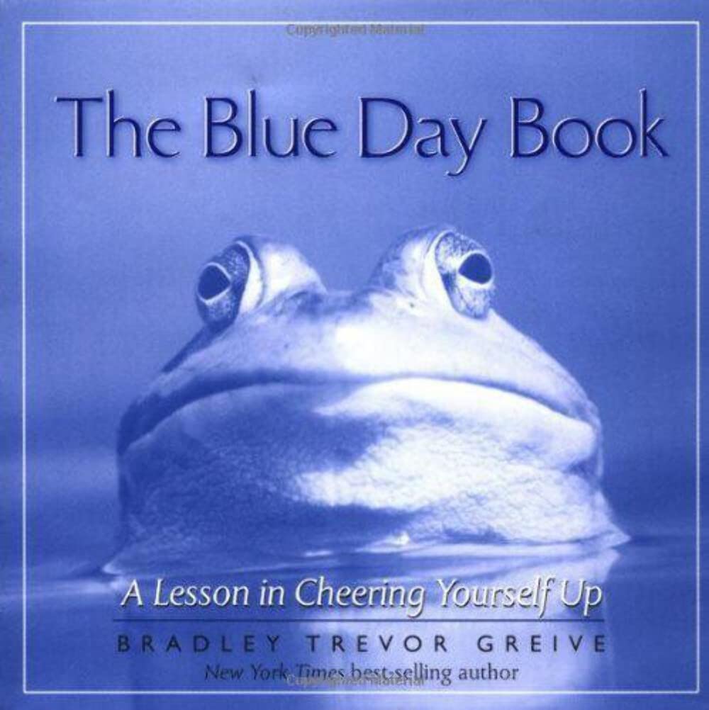 The Blue Day Book used book depot