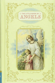 Little Book of Angels used book depot