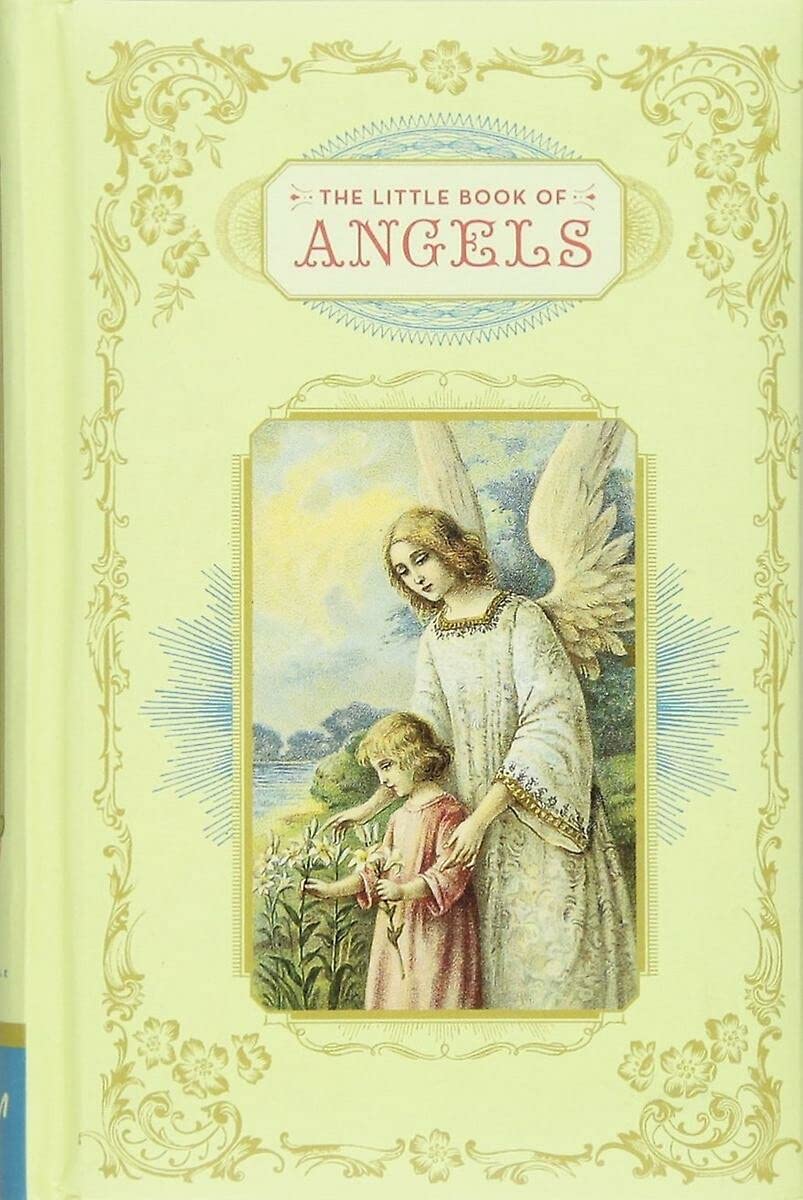 Little Book of Angels used book depot