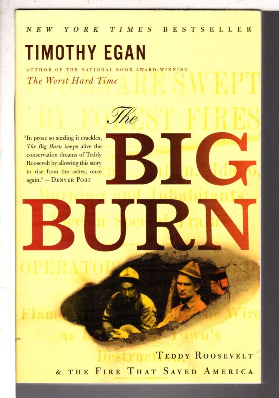 The Big Burn: Teddy Roosevelt and the Fire That Saved America used book depot