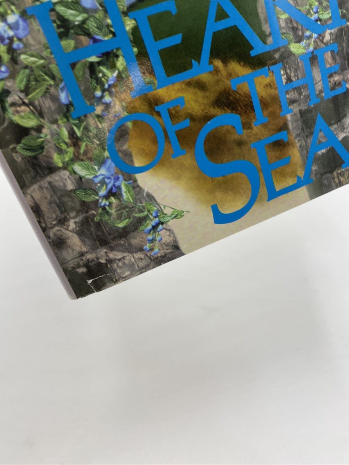 Heart of the Sea (The conclusion to the Enchanting Irish Trilogy)