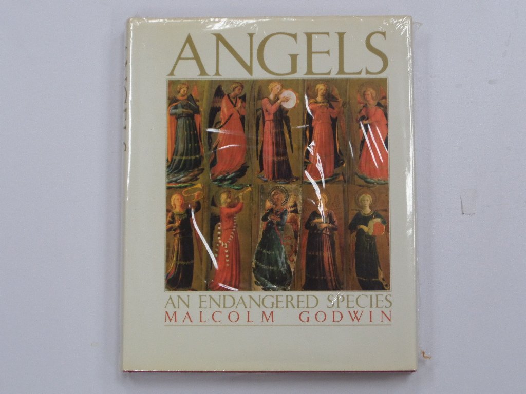 Angels : An Endangered Species used book depot