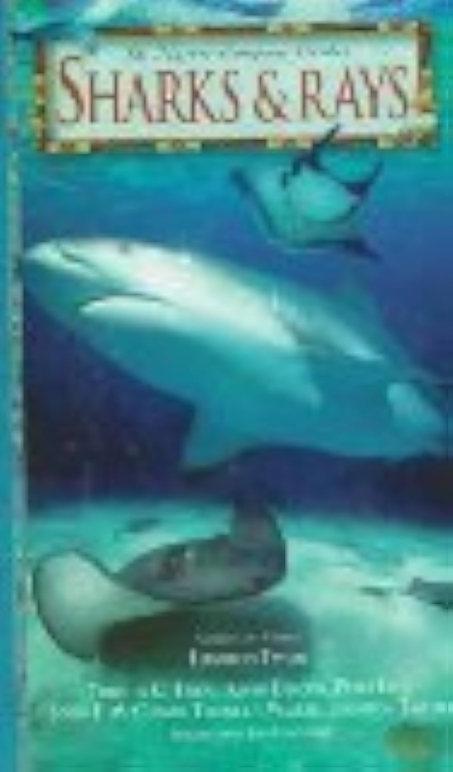 Sharks & Rays (Nature Company Guides) used book depot
