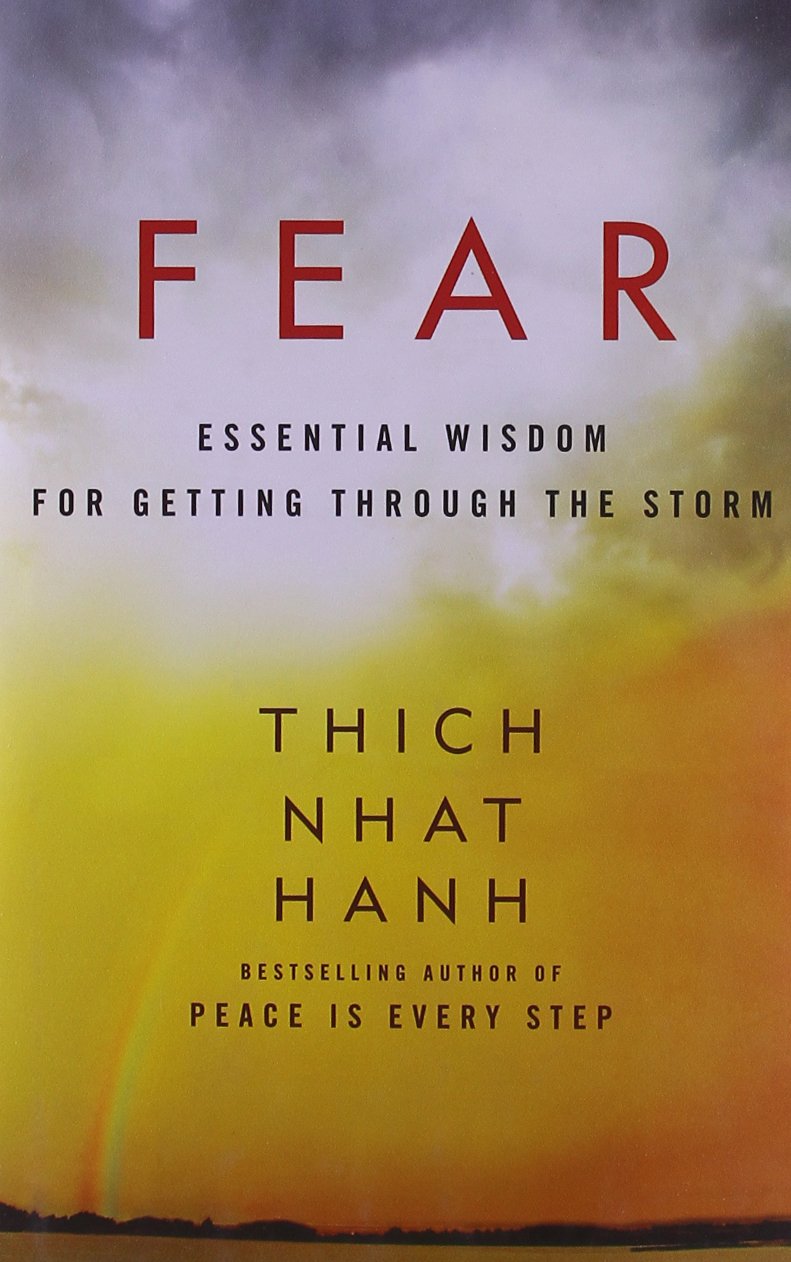 Fear: A Powerful Guide to Overcoming Uncertainties and Personal Terrors, and Finding Peace and Freedom from Anxiety, by Zen Master Thich Nhat Hanh used book depot