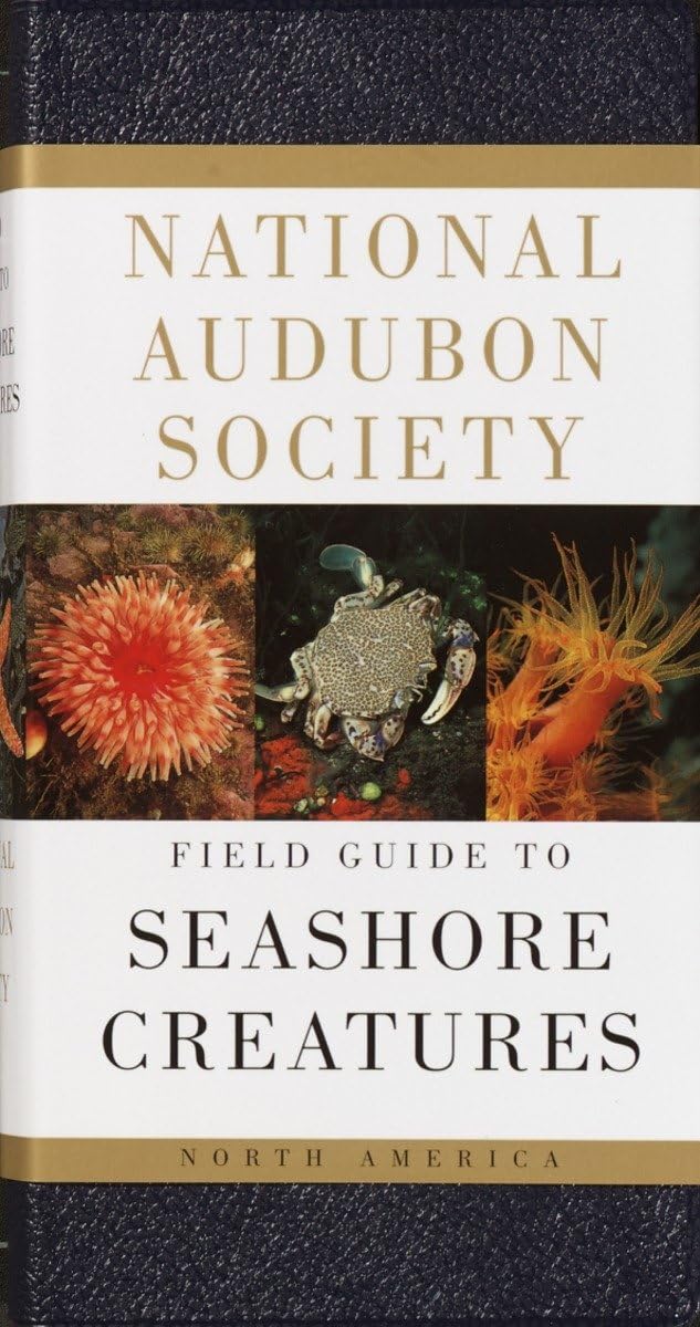 National Audubon Society Field Guide to Seashore Creatures: North America (National Audubon Society Field Guides) used book depot