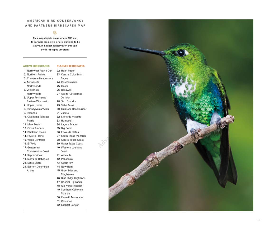 Bringing Back the Birds: Exploring Migration and Preserving Birdscapes throughout the Americas used book depot