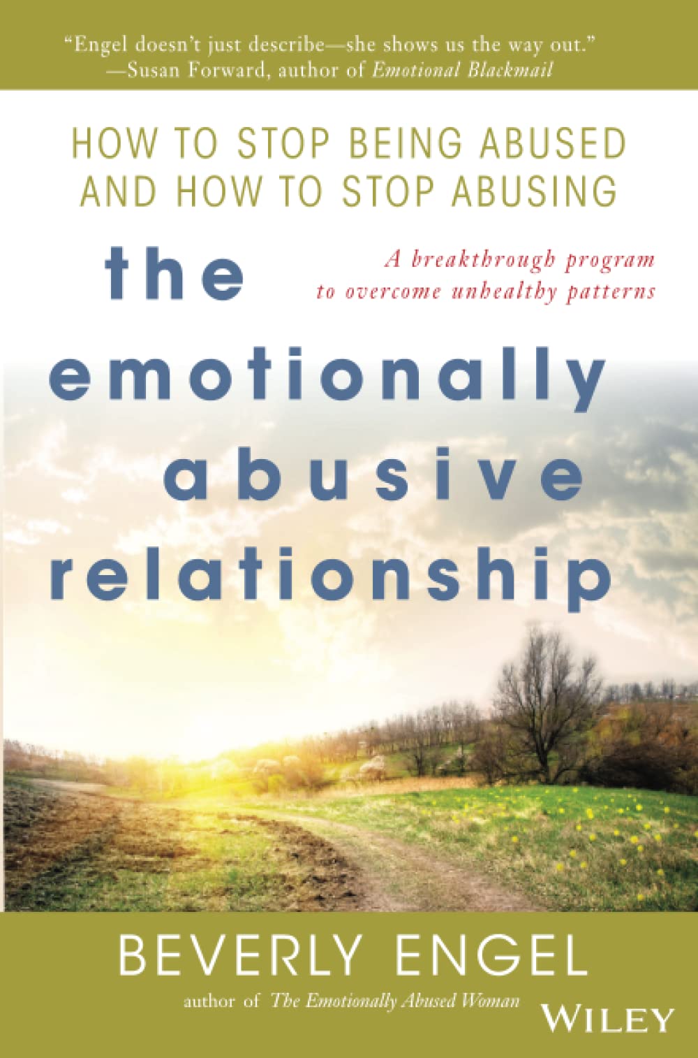 The Emotionally Abusive Relationship: How to Stop Being Abused and How to Stop Abusing used book depot