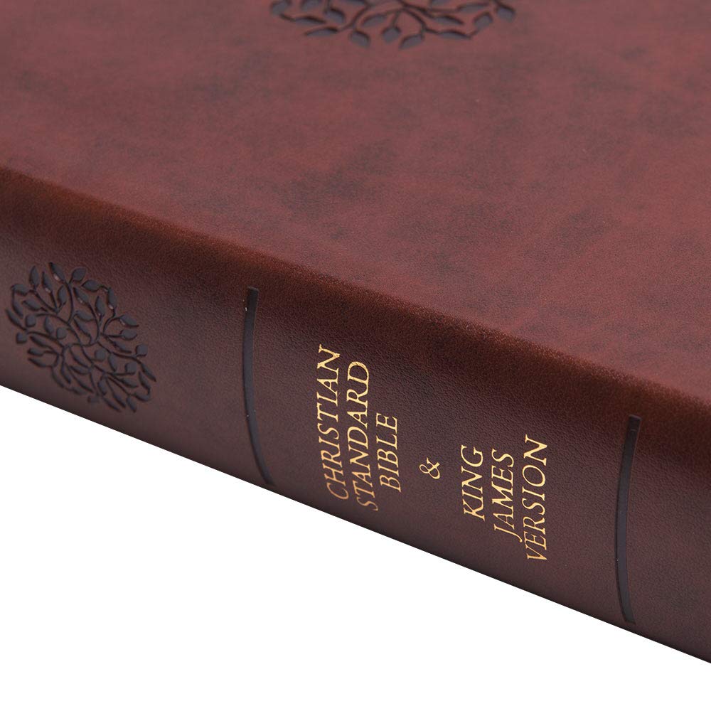 Psalms of the Bible: The Songs of Scripture in Both Contemporary and Classic Form used book depot