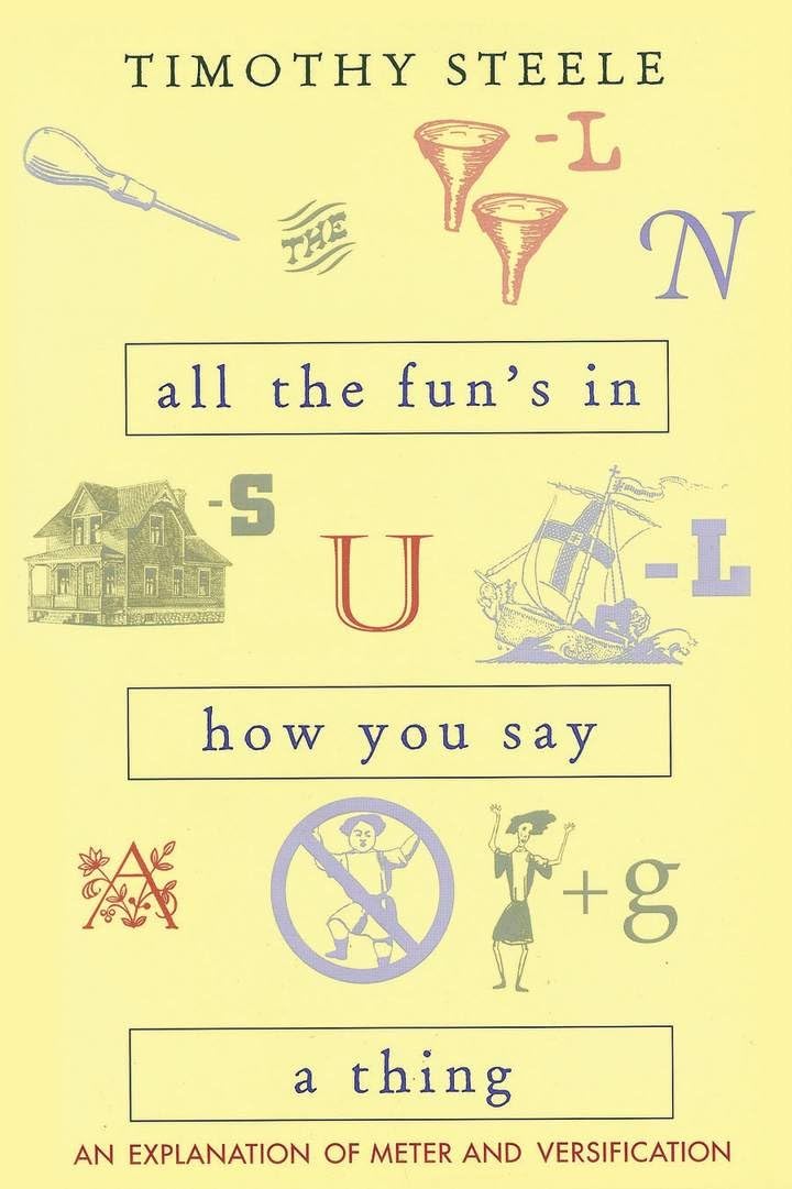 All The Fun's In How You Say A Thing: An Explanation Of Meter & Versification used book depot