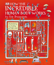 How the Incredible Human Body Works . . . By the Brainwaves used book depot
