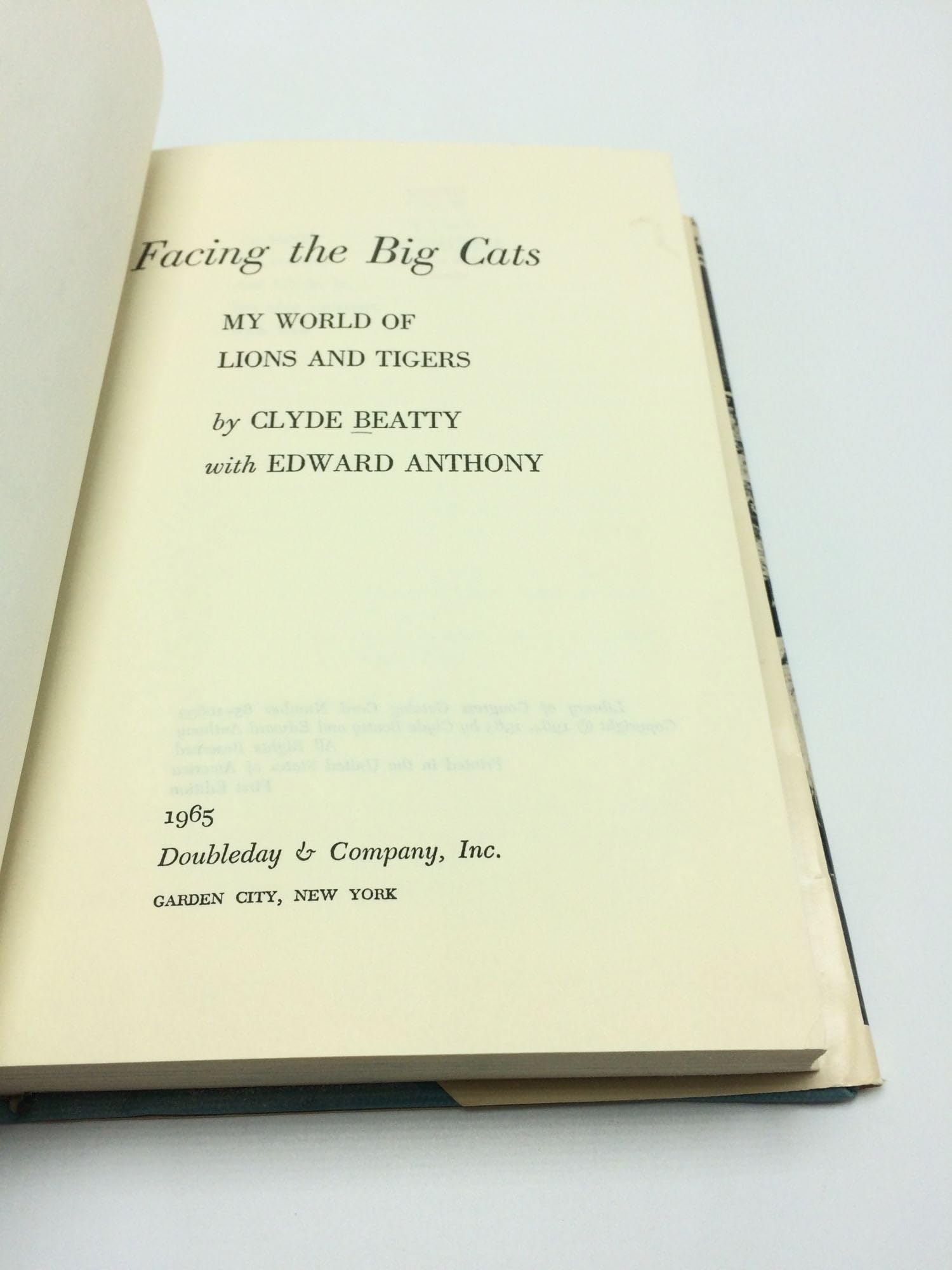 Facing the Big Cats: My World of Lions and Tigers