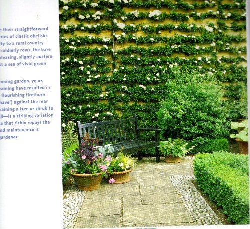 Trellises & Arbors: Over 35 Step-by-step Projects You Can Build used book depot