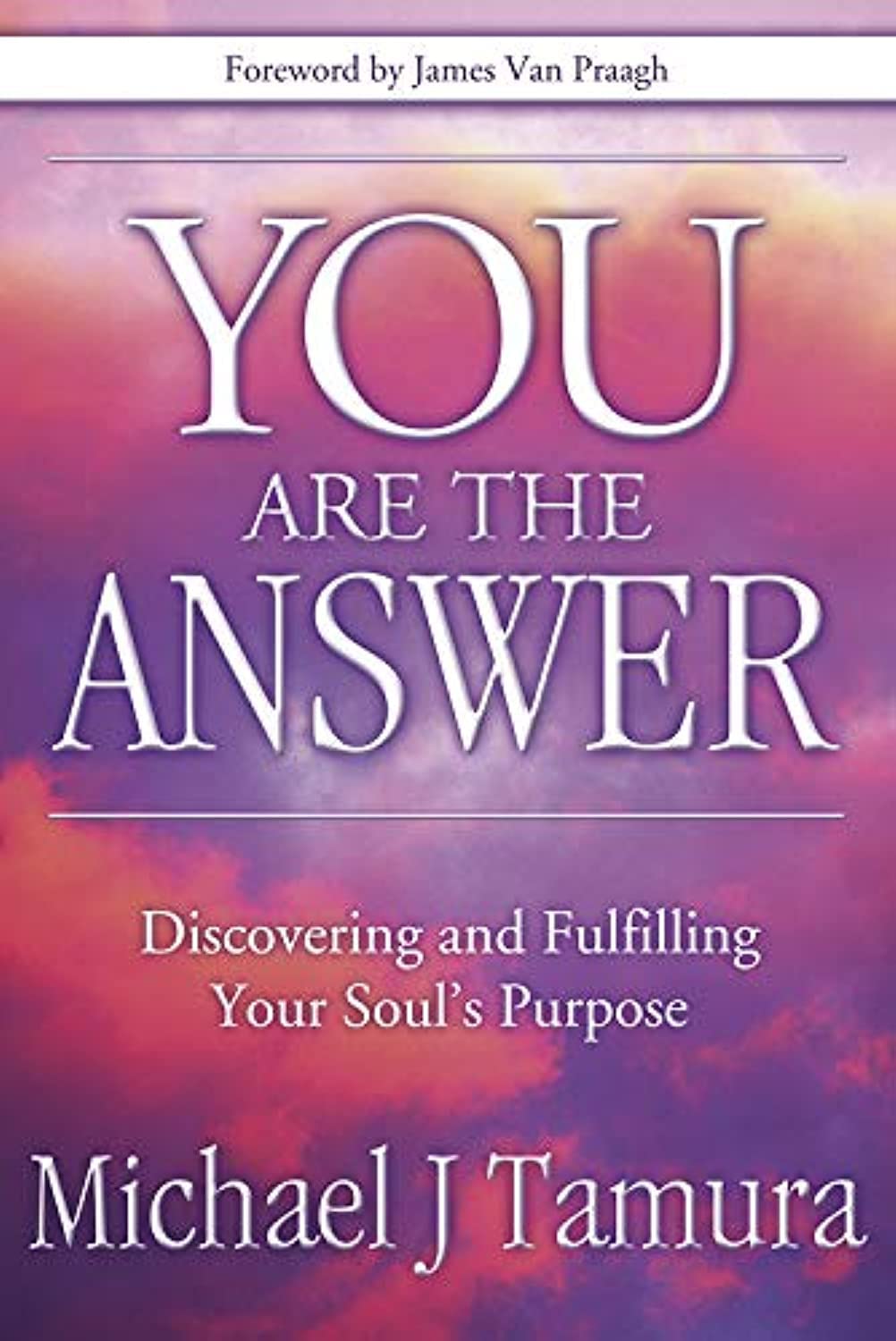 You Are the Answer: Discovering and Fulfilling Your Soul's Purpose used book depot