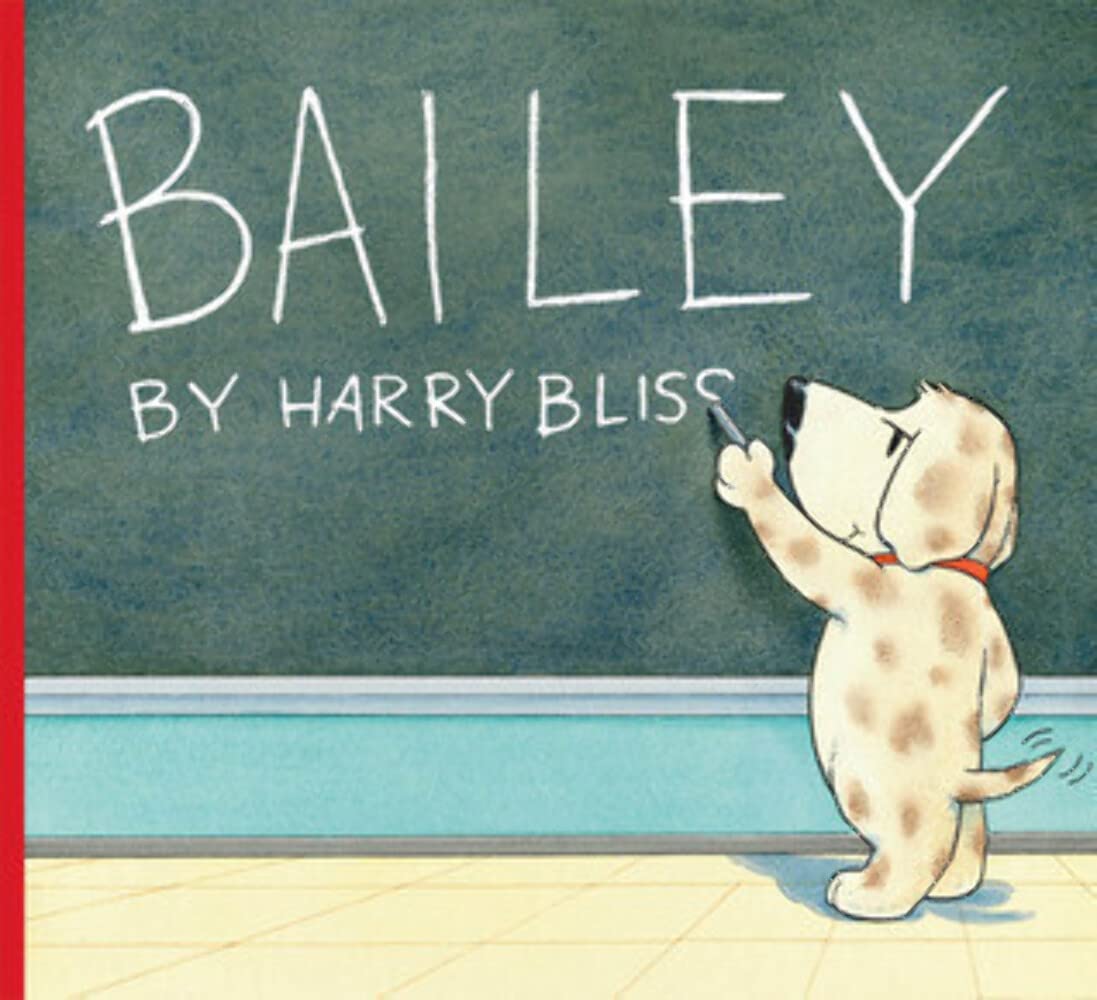Bailey used book depot
