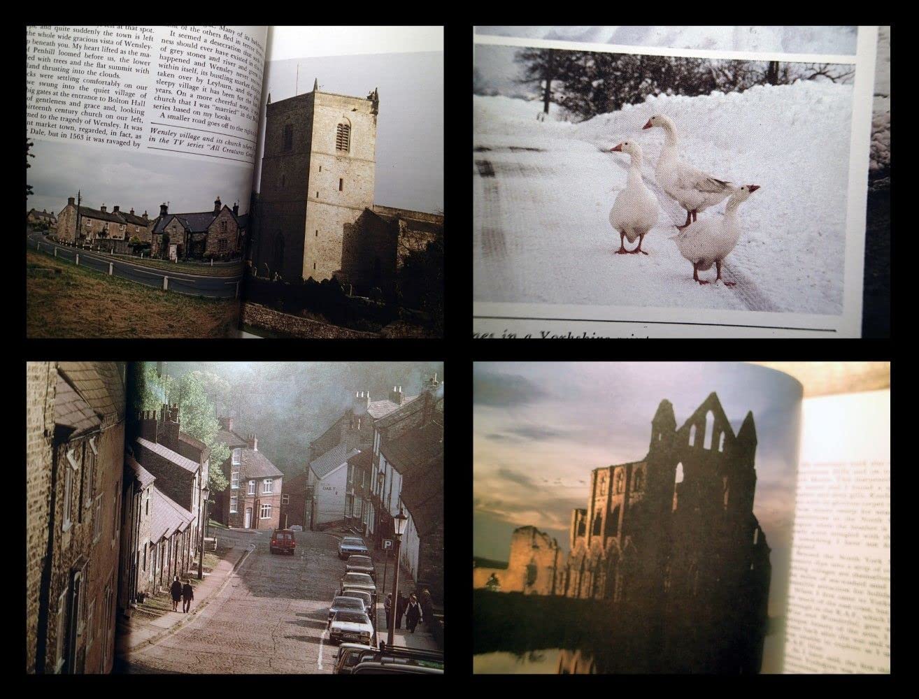 James Herriot's Yorkshire: A Guided Tour With the Beloved Veterinarian Through the Land of All Creatures Great And Small And Every Living Thing, Gloriously Photographed and Memorably Describe used book depot