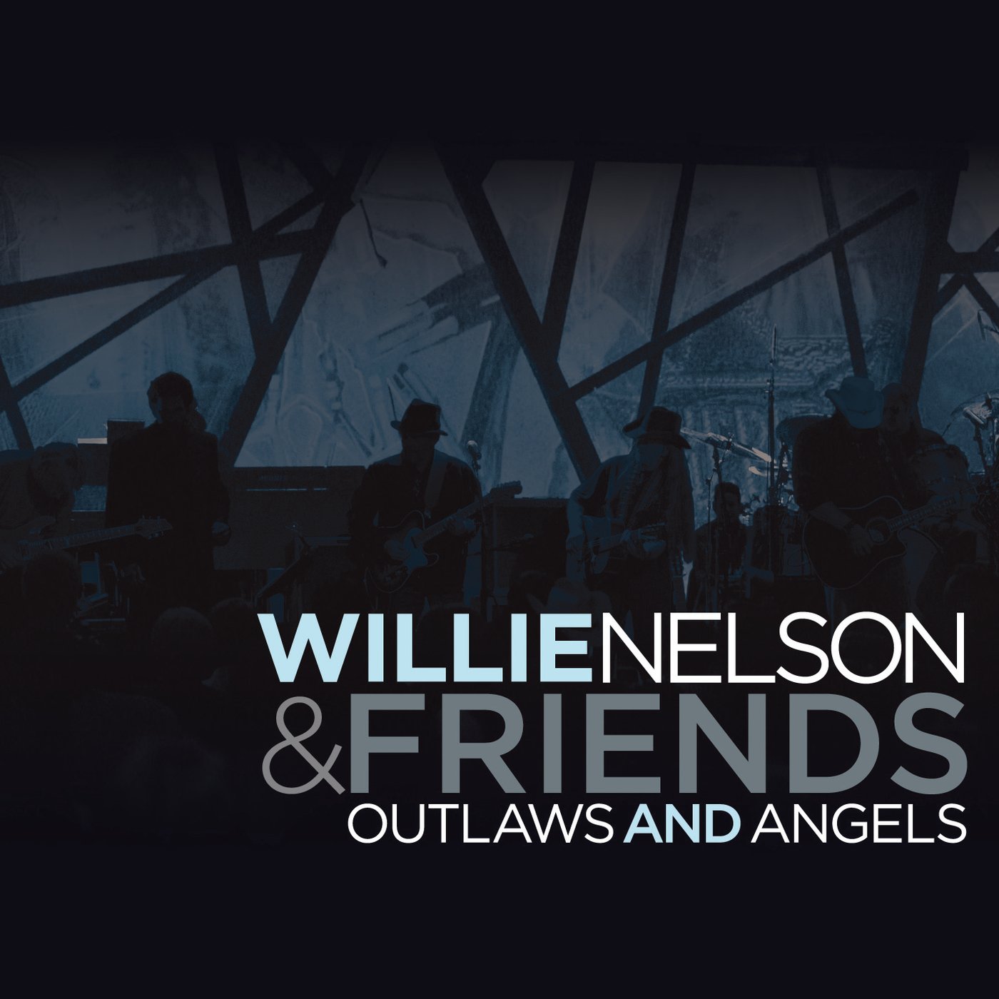 Willie Nelson & Friends: Outlaws & Angels used book depot